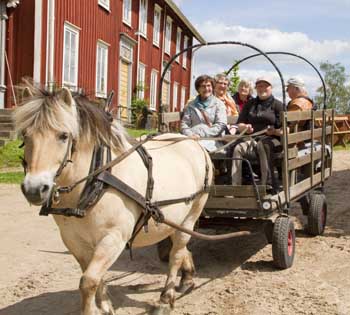 Vagnåkarna